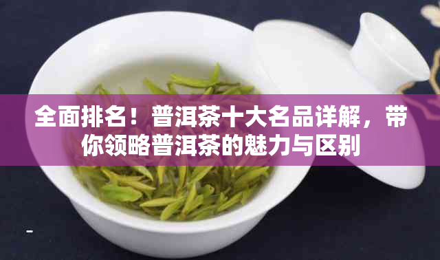 全面排名！普洱茶十大名品详解，带你领略普洱茶的魅力与区别