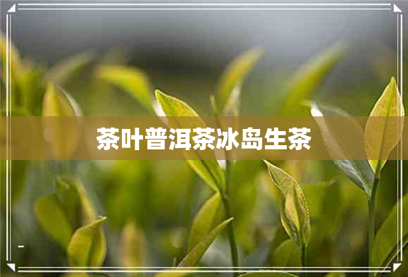 茶叶普洱茶冰岛生茶