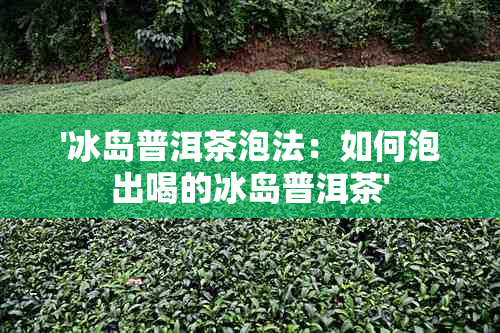 '冰岛普洱茶泡法：如何泡出喝的冰岛普洱茶'