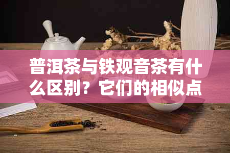 普洱茶与铁观音茶有什么区别？它们的相似点和不同点是什么？