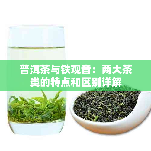 普洱茶与铁观音：两大茶类的特点和区别详解