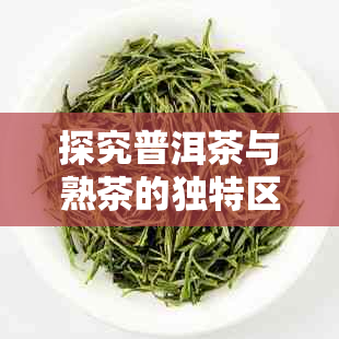 探究普洱茶与熟茶的独特区别：从原料、制作工艺到口感和功效的全方位对比