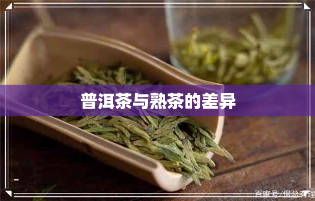 普洱茶与熟茶的差异