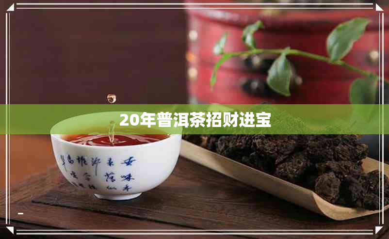 20年普洱茶招财进宝