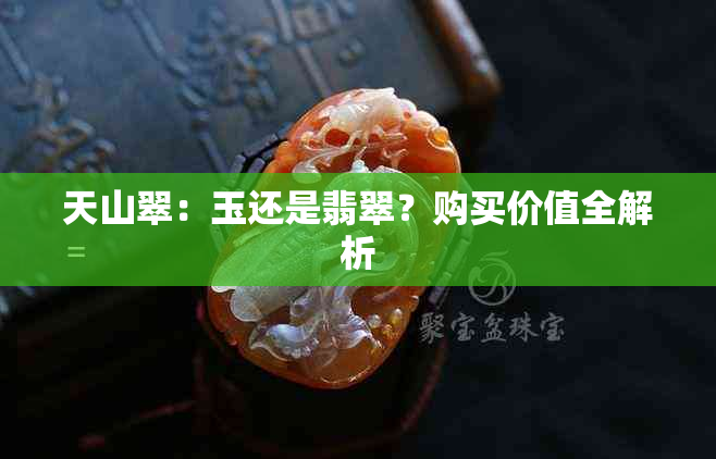 天山翠：玉还是翡翠？购买价值全解析