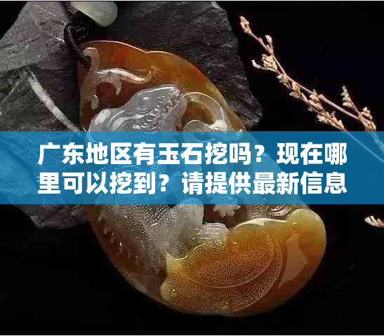 广东地区有玉石挖吗？现在哪里可以挖到？请提供最新信息。