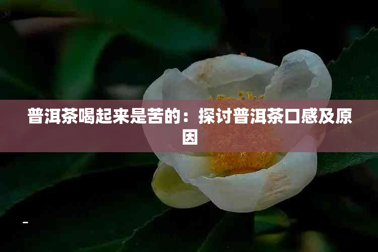 普洱茶喝起来是苦的：探讨普洱茶口感及原因