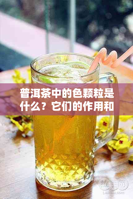 普洱茶中的色颗粒是什么？它们的作用和成因解析