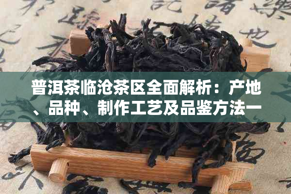 普洱茶临沧茶区全面解析：产地、品种、制作工艺及品鉴方法一应俱全