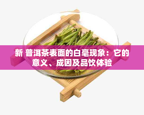 新 普洱茶表面的白毫现象：它的意义、成因及品饮体验