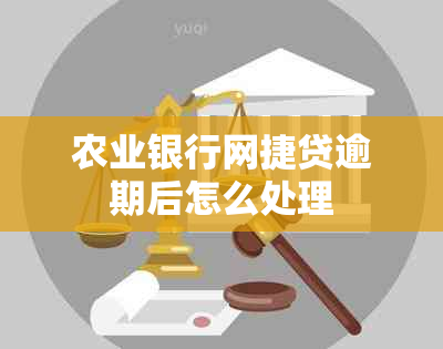 农业银行网捷贷逾期后怎么处理