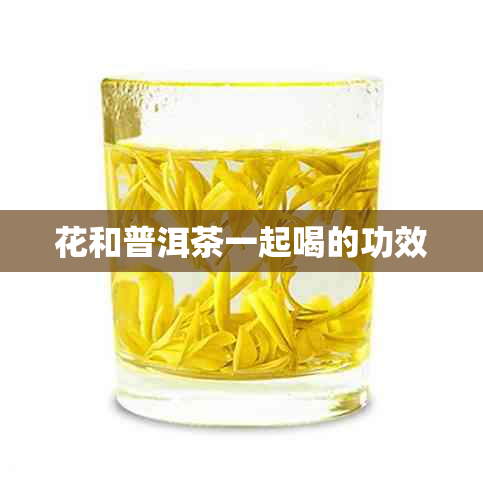 花和普洱茶一起喝的功效