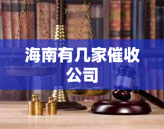 海南有几家公司