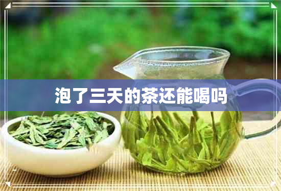 泡了三天的茶还能喝吗