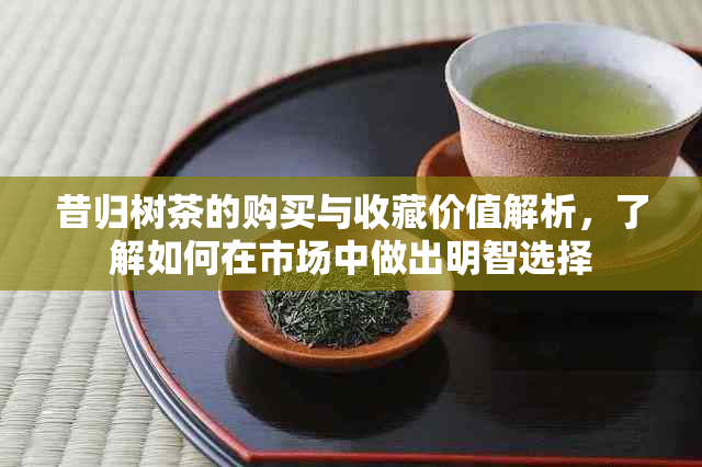 昔归树茶的购买与收藏价值解析，了解如何在市场中做出明智选择