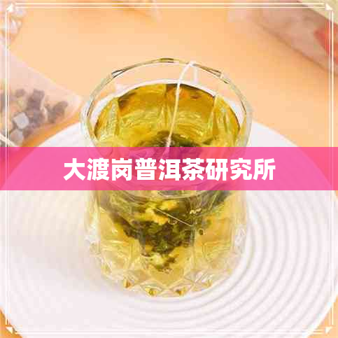 大渡岗普洱茶研究所