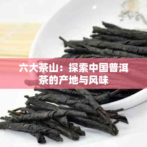 六大茶山：探索中国普洱茶的产地与风味