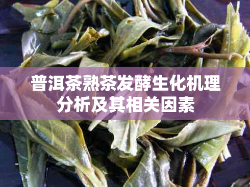 普洱茶熟茶发酵生化机理分析及其相关因素