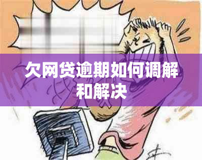 欠网贷逾期如何调解和解决