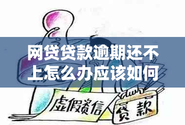 网贷贷款逾期还不上怎么办应该如何处理