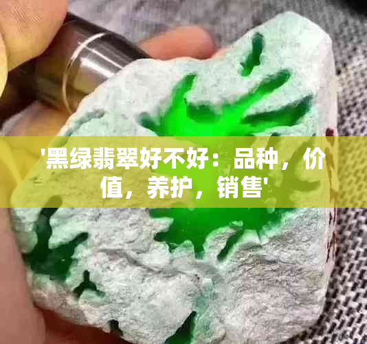 '黑绿翡翠好不好：品种，价值，养护，销售'