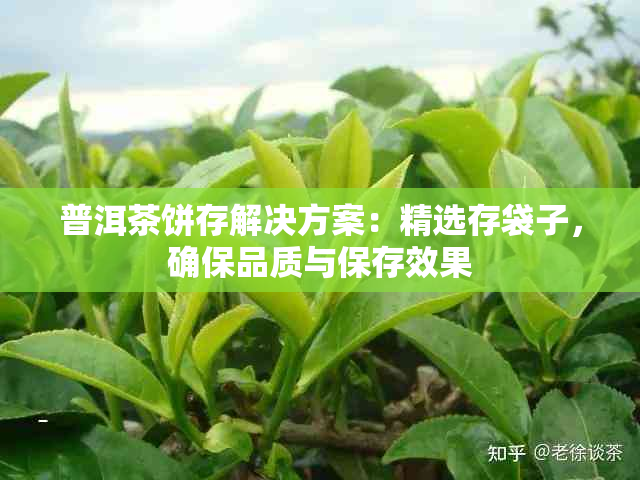 普洱茶饼存解决方案：精选存袋子，确保品质与保存效果