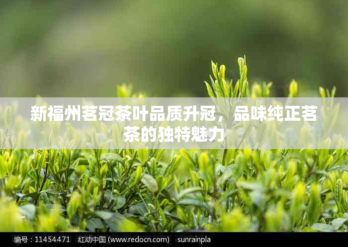 新福州茗冠茶叶品质升冠，品味纯正茗茶的独特魅力