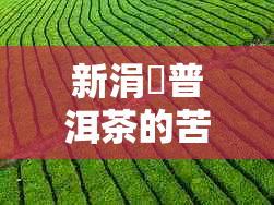 新涓嶅普洱茶的苦涩味道是否令人难以接受？