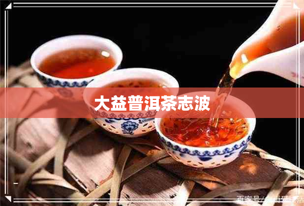 大益普洱茶志波