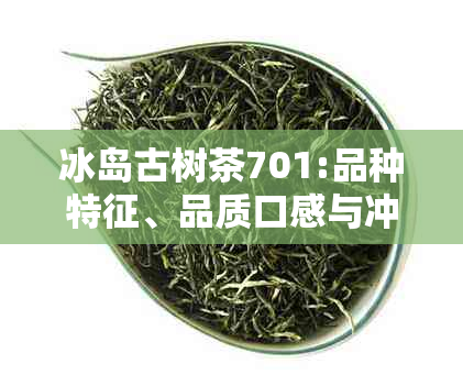 冰岛古树茶701:品种特征、品质口感与冲泡方法详解，带你领略冰岛茶叶魅力