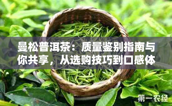 曼松普洱茶：质量鉴别指南与你共享，从选购技巧到口感体验全方位解析