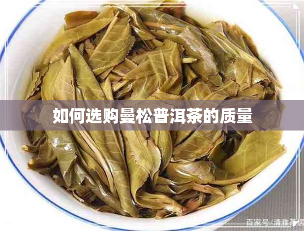 如何选购曼松普洱茶的质量