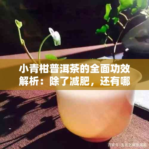 小青柑普洱茶的全面功效解析：除了减肥，还有哪些健益处？