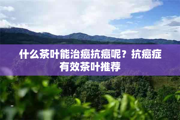 什么茶叶能治癌抗癌呢？抗癌症有效茶叶推荐