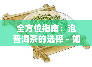 全方位指南：泡普洱茶的选择 - 如何挑选和使用合适的杯子