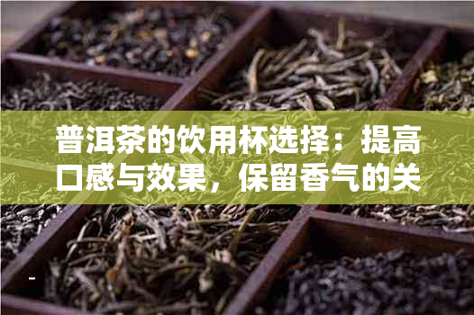 普洱茶的饮用杯选择：提高口感与效果，保留香气的关键因素。