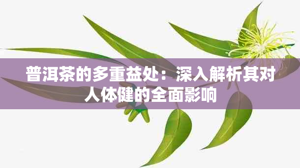 普洱茶的多重益处：深入解析其对人体健的全面影响