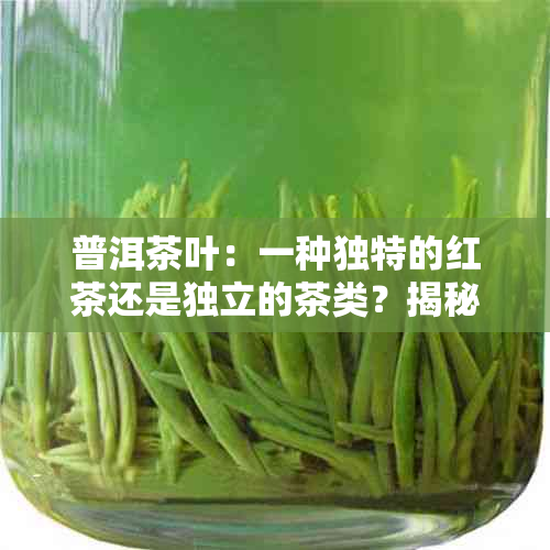 普洱茶叶：一种独特的红茶还是独立的茶类？揭秘普洱茶的分类与特点