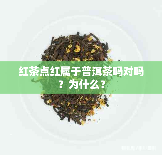 红茶点红属于普洱茶吗对吗？为什么？