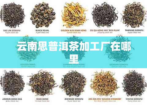 云南思普洱茶加工厂在哪里