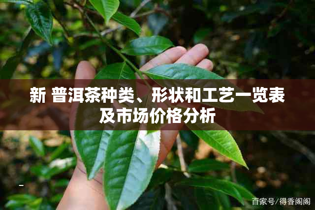 新 普洱茶种类、形状和工艺一览表及市场价格分析