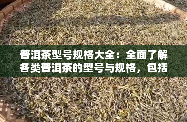 普洱茶型号规格大全：全面了解各类普洱茶的型号与规格，包括价格信息。