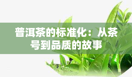 普洱茶的标准化：从茶号到品质的故事