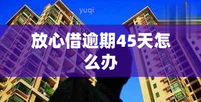 放心借逾期45天怎么办