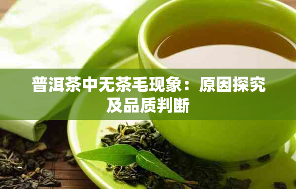 普洱茶中无茶毛现象：原因探究及品质判断