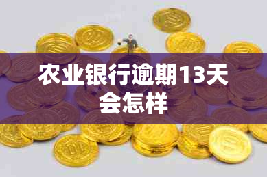 农业银行逾期13天会怎样