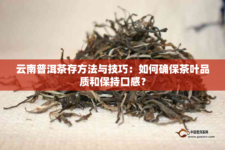 云南普洱茶存方法与技巧：如何确保茶叶品质和保持口感？