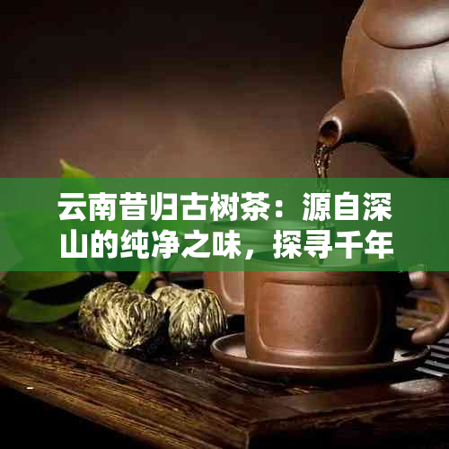 云南昔归古树茶：源自深山的纯净之味，探寻千年传承的独特风味