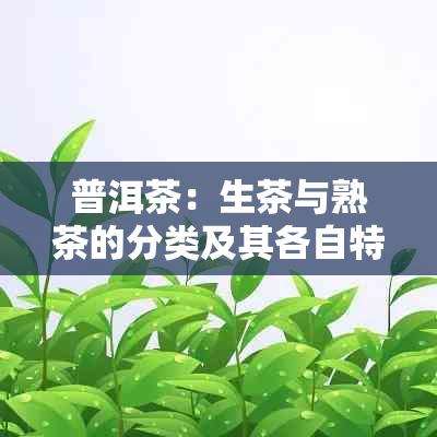 普洱茶：生茶与熟茶的分类及其各自特点