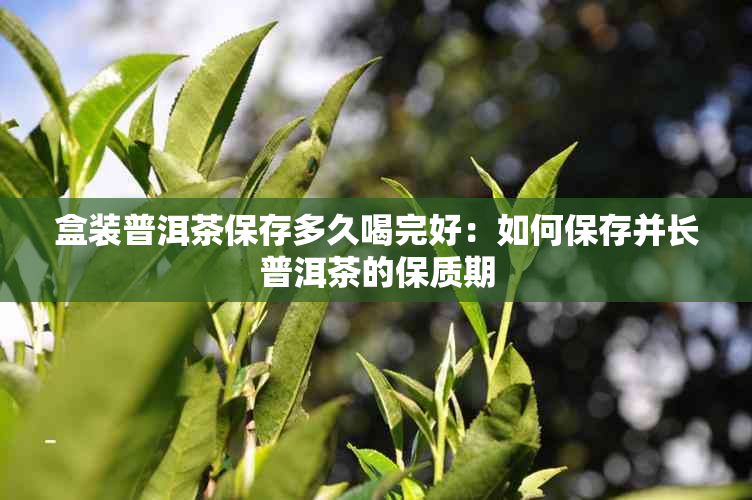 盒装普洱茶保存多久喝完好：如何保存并长普洱茶的保质期